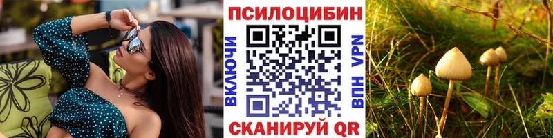 Галлюциногенные грибы MAGIC MUSHROOMS  купить наркотики цена  Новоалтайск 