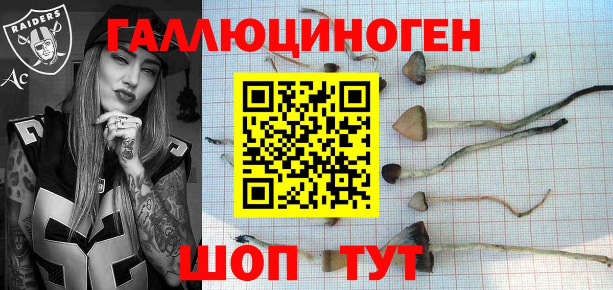 Галлюциногенные грибы мухоморы  Галлюциногенные грибы мицелий  Новоалтайск  Вход с VPN 