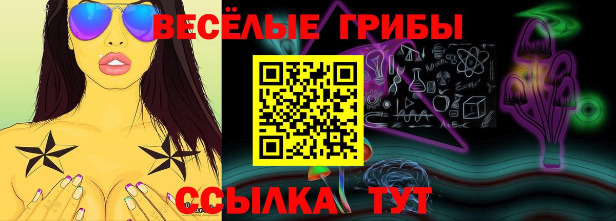 Псилоцибиновые грибы прущие грибы  Галлюциногенные грибы мицелий  Новоалтайск 