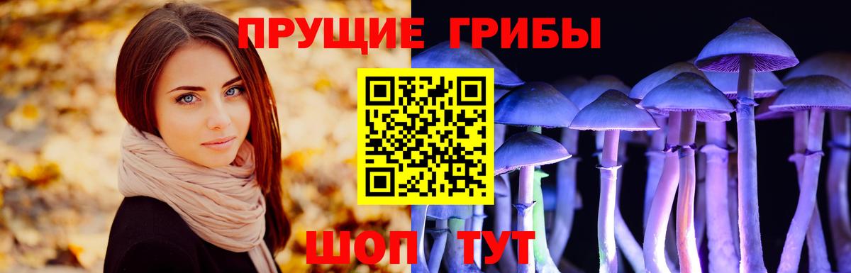 Галлюциногенные грибы мицелий Новоалтайск